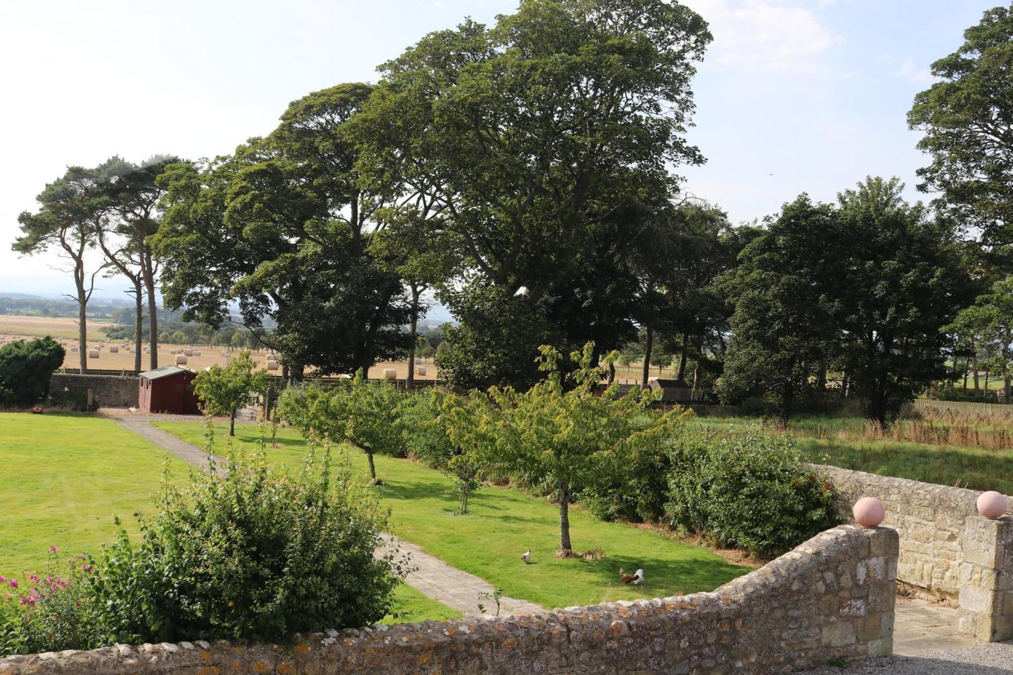 Portmahomack Tarrel Farmhouse المظهر الخارجي الصورة