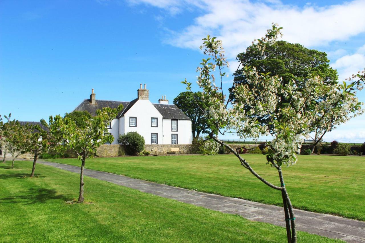 Portmahomack Tarrel Farmhouse المظهر الخارجي الصورة